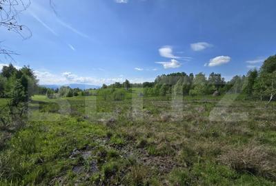 Teren extravilan 13103 mp in Dealu Mare! Oportunitate invest - 1