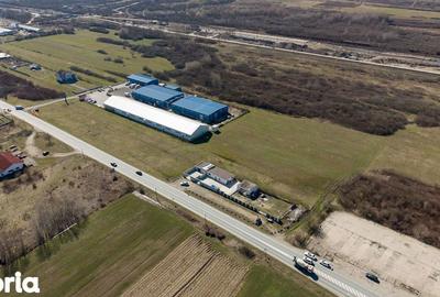 Teren de 7194 mp, în Carașova - 11