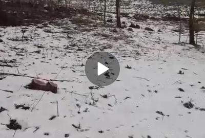 Casă cu 2 camere cu Teren 1500 Mp în Ițcani - 1