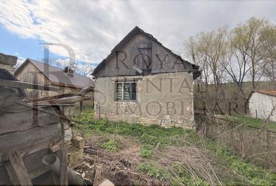 Casă individuală cu 2 camere cu Teren 2200 Mp în Făureni - 5