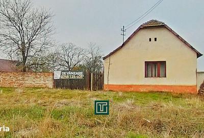 Casă cu 2 camere cu Teren 1440 Mp în Secusigiu - 4