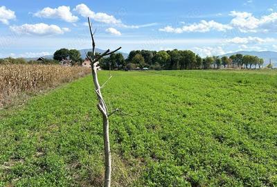 Teren de 3600 mp, în Prejmer - 8