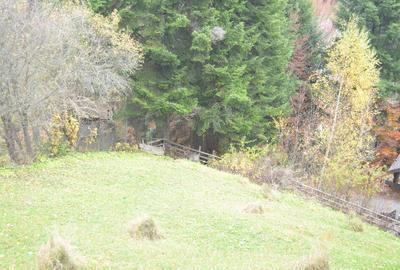 Busteni-Teren intravilan situat in Valea Alba in apropiere de partie - 7