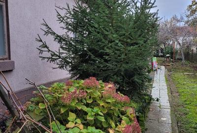 Casă de vânzare în Turnu Măgurele. - 8