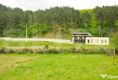 Casă cu 7 camere cu Teren 5000 Mp în Surduc - 2