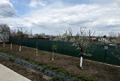 Casă individuală cu 2 camere cu Teren 1100 Mp în Central - 3