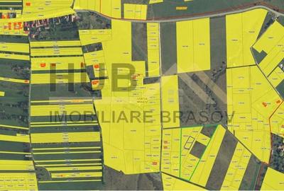 Loturi Teren Tohanul Nou | Zarnesti | Curent In Apropiere - 11