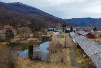 Negreni hala industriala - fosta fabrica de scaune din lemn vanzare rapida - 13