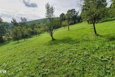 Teren de 2200 mp, în Sălciua - 6