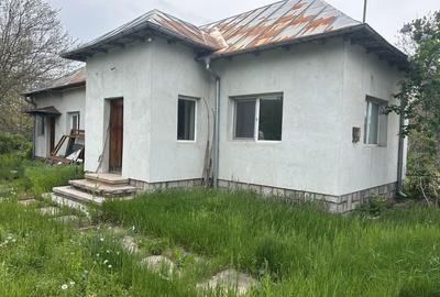 Casă cu 3 camere în Măgureni - 1