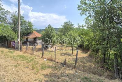 Proprietate in apropiere de complex turistic Mu?ete?ti - 5