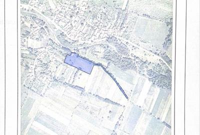 Casă cu 3 camere în Chitid - 3