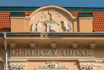 Palatul Gerliczy Oradea De Vanzare - 3
