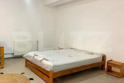 Apartament 1 camera, 70mp, zona Campului , Manastur Apartament 1 camera, 70mp, zona Campului , Manastur - 2