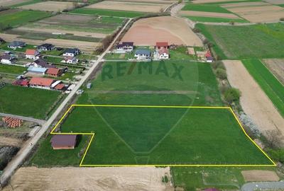 Teren Construcții intravilan de 6124 mp, în Coltău - 8