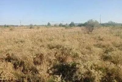 Teren de 877 mp, în Periferie - 6