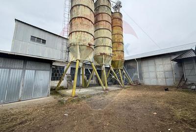 Moara Spatiu Industrial - 1