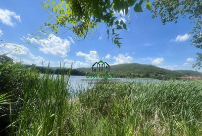 Teren Fedelesoiu/3200 mp/Intravilan - 8