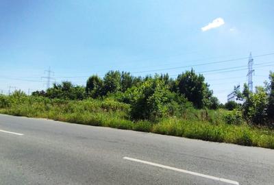 Teren intravilan de 8285 mp, în Nicolae Grigorescu - 3