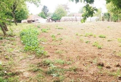 Lipia 10 minute Snagov - 2