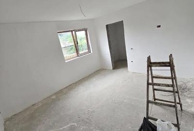 Casă cu 2 camere cu Teren 30000 Mp în Valea Leșului - 1