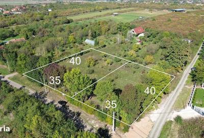 Spațiu comercial, în Viile Satu Mare - 1