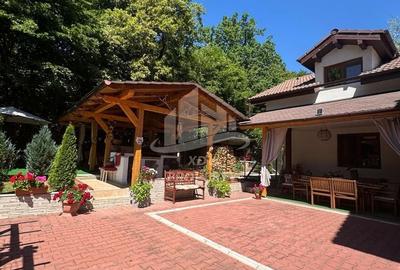 Vila  Frumoasa , Sibiu ,6 camere , 5 Bai , mobilata ,utilata - 56