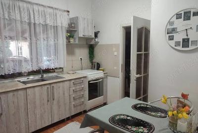 Vand vila cu 3 camere, comuna Biharia Vand vila cu 3 camere, comuna Biharia - 5