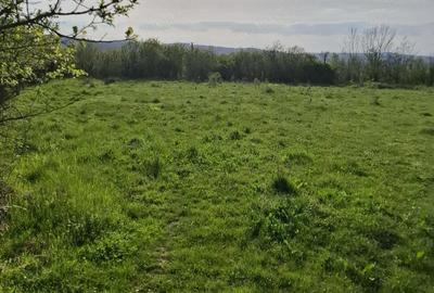 Teren de 2350 mp, în Sacoșu Mare - 3