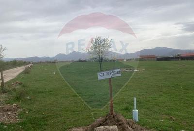 Teren agricol intravilan de 772 mp, în Sânpetru