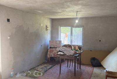 Casă cu 5 camere cu Teren 3279 Mp în Ciutura - 3