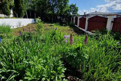 Casă cu 5 camere cu Teren 500 Mp în Unirea - 4