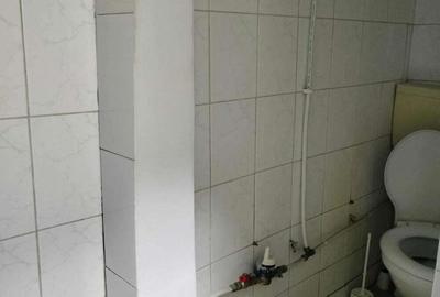 Zona Prelungirea Ferentari 100 mp - 1