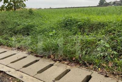 Teren intravilan, 1213 mp, front 24 ml, la ie?irea din Suce - 2