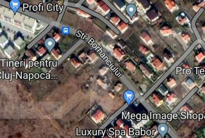 Teren de 2506 mp, în Borhanci - 5