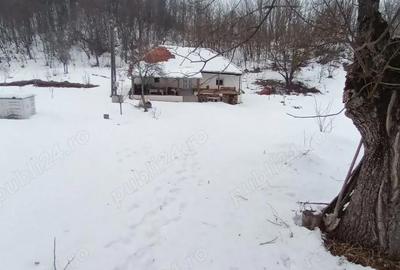 Casă cu Teren 2 Mp în Poieni (Densuș) - 5