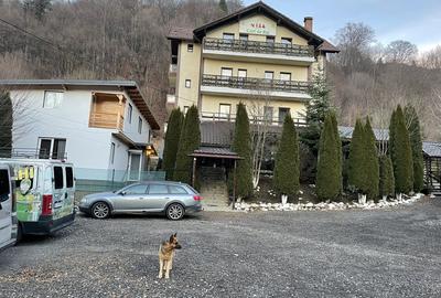 Casă cu 4 camere cu Teren 262 Mp în Central