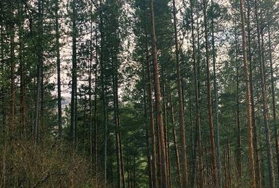 Spațiu comercial, în Mânzălești - 1