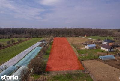 Teren de 3083 mp, în Gruiu - 5