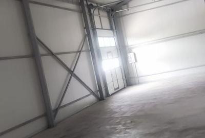 Hala noua Bragadiru 290 mp - 3