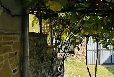 Casă cu 2 camere cu Teren 719 Mp în Dognecea - 10