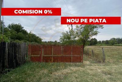 Teren intravilan 1.765 mp in Poiana Lacului, AG - 4