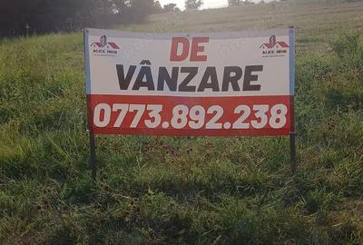 Teren de 3339 mp, în Berca - 5