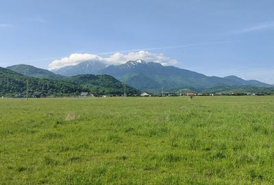 Teren Construcții intravilan de 1000 mp, în Glăjărie - 1