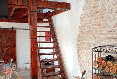 Casă cu Teren 24000 Mp în Casian - 7