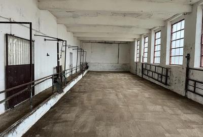 Spațiu comercial, în Brestovăț - 2