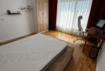 Casa individuala de lux langa complex Moara - 20