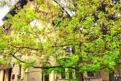 Apartament cu 3 camere decomandat în Aviatorilor - 5