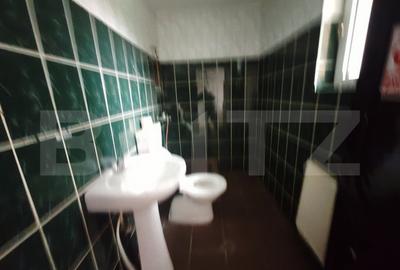 Spatiu Comercial de inchiriat - 11