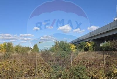 Teren 12.400 mp Centura Stefanesti nod A3 optional plus 14.000 mp - 6
